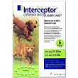 Interceptor Dog_11-25_Cat_2-6_6