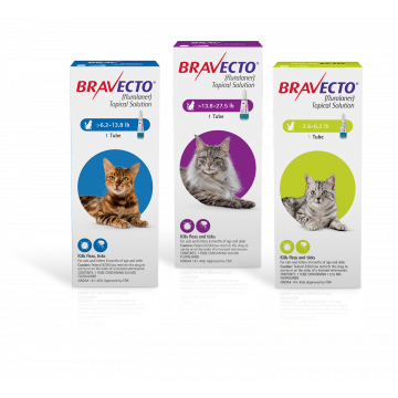 Bravecto for Small Cats Category