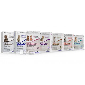 Selarid_Banner Category