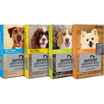 Sentinel Spectrum group right Category