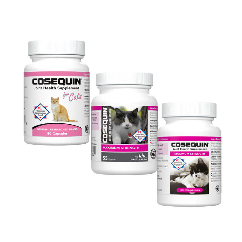 Cosequin for Cats Sprinkle Capsules Bandana Rx