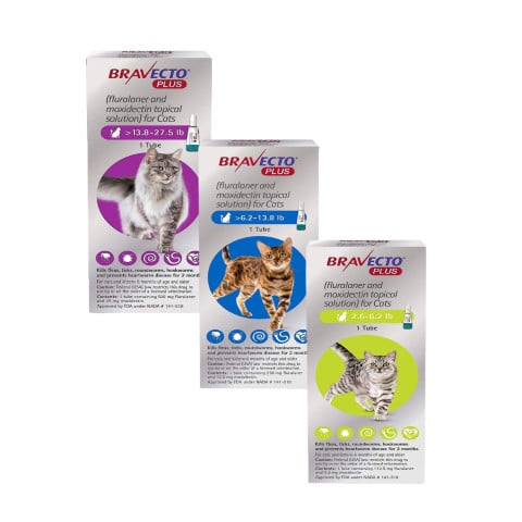 Bravecto Plus Topical Solution for Cats Cover