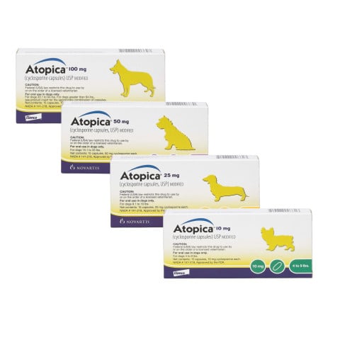 Atopica For Dogs