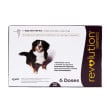 Revolution Dog 85-130 lbs 6 doses