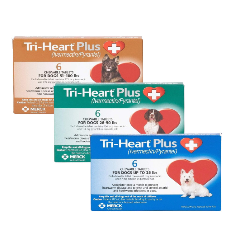 Tri heart for outlet dogs