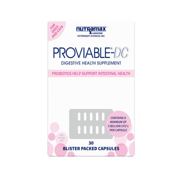 Proviable-DC Capsules 30 ct Category