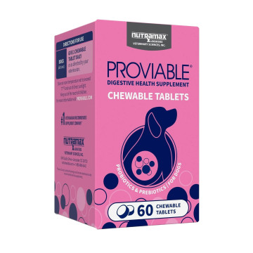 Proviable-DC Chewable Tablets 1 PACK Category