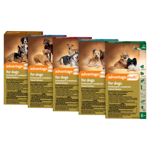 Advantage Multi 55-88 2x Responsive