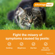 Advantage Multi for Cats 5-9 lbs