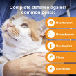 Advantage Multi for Cats 9-18 lbs