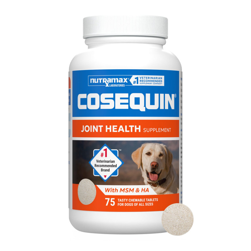 Cosequin_MSM_HA _75 _P1