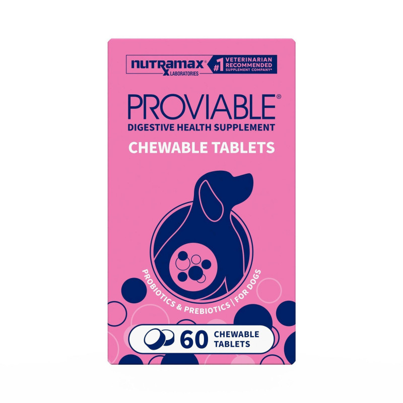 Proviable-DC Chewable Tablets 1 PACK