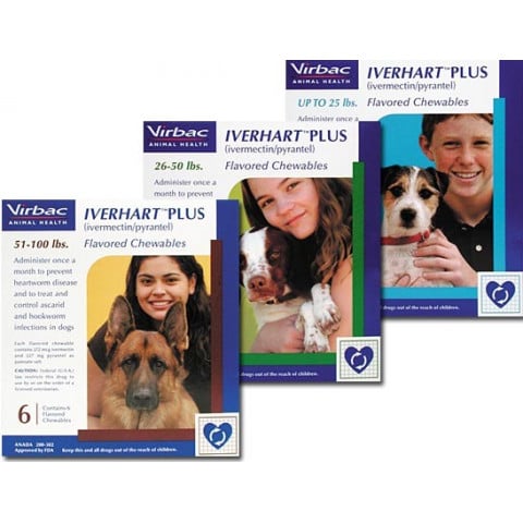 Iverhart Plus Chewables for Dogs