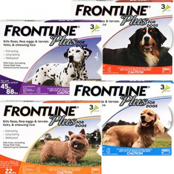 Frontline Plus Category