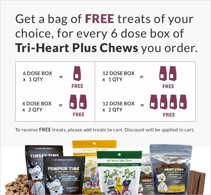 Learn More about Treats Mobile